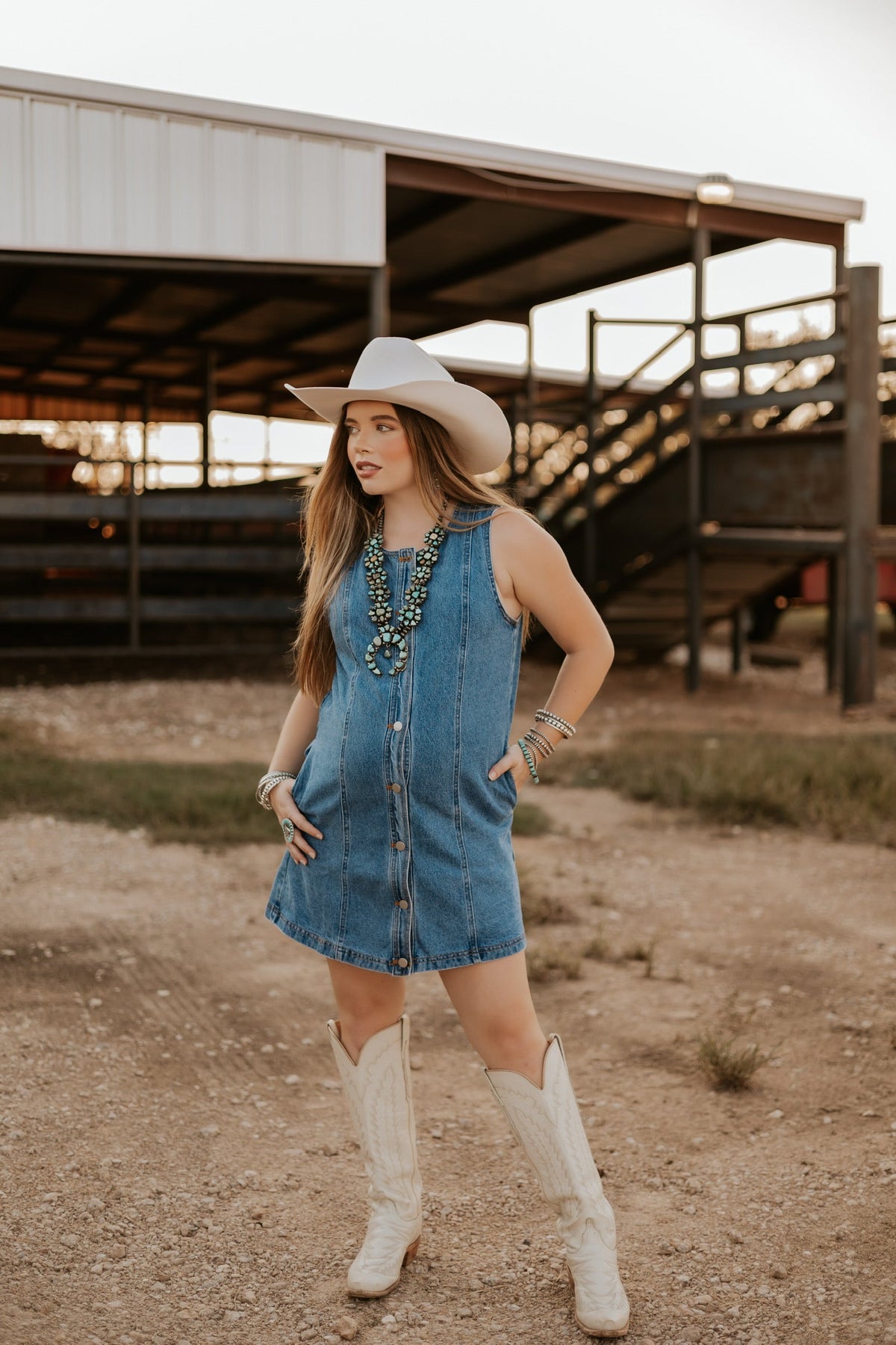 The Dobbs Denim Dress