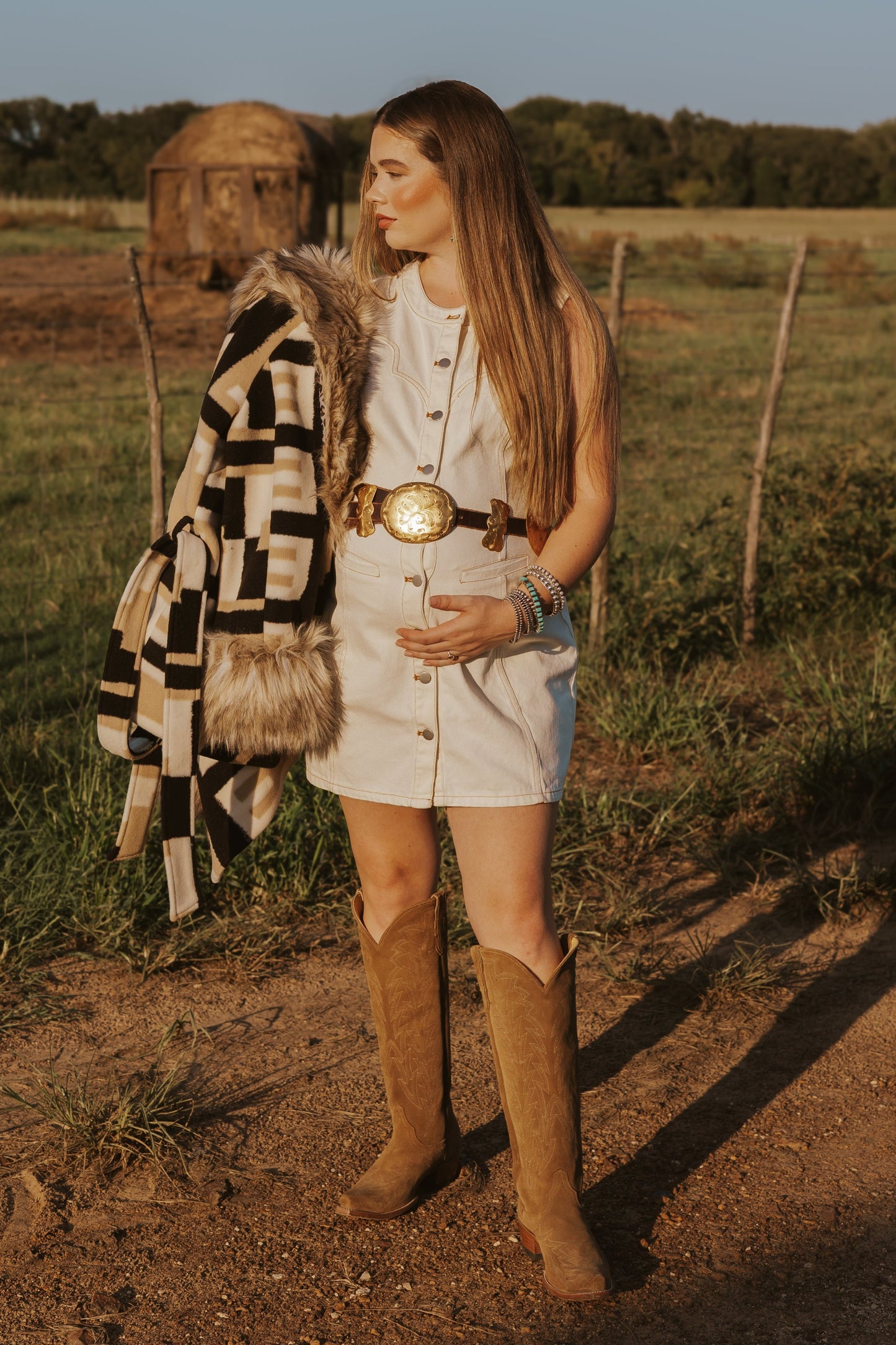 The Cordell Denim Dress