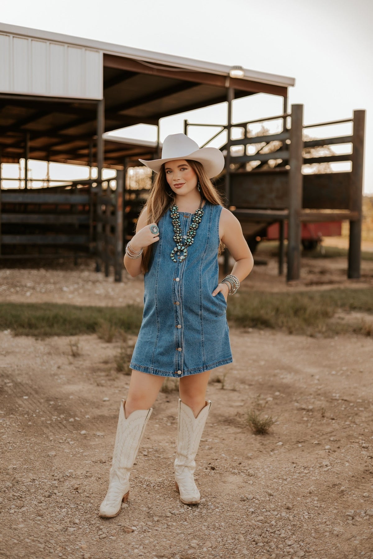 The Dobbs Denim Dress