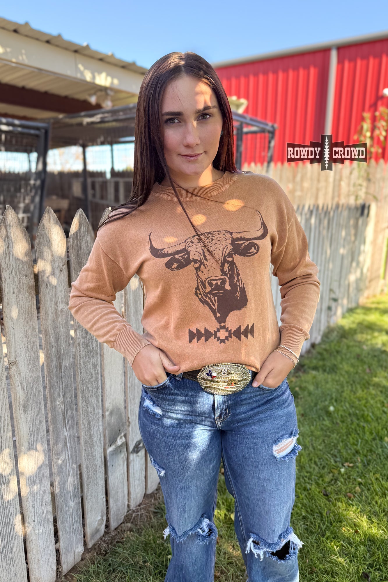 Blazin' Bull Sweater